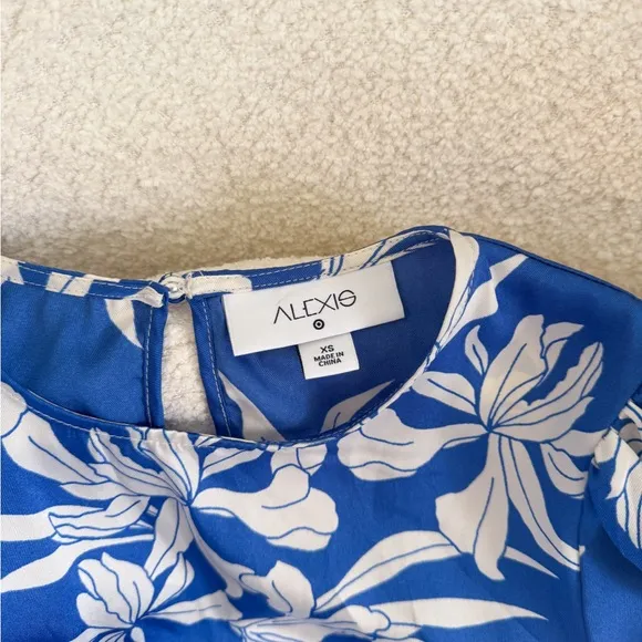 Alexis X Target Blue Floral Dress