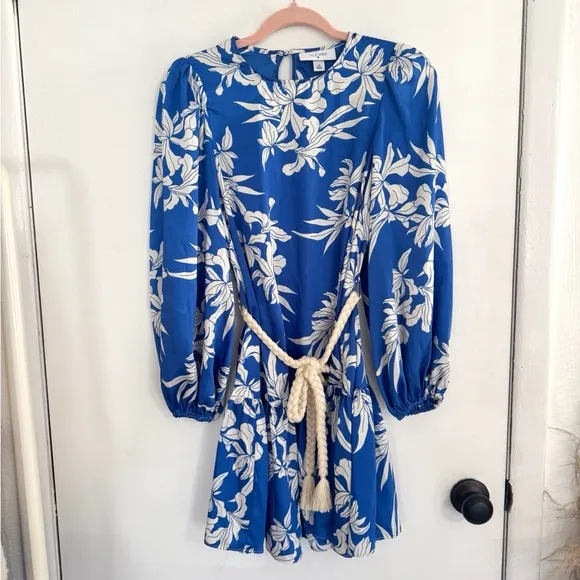 Alexis X Target Blue Floral Dress