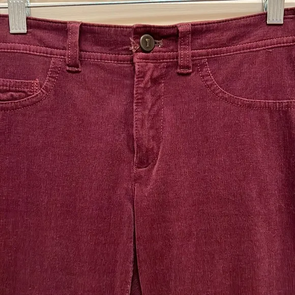 Anthropologie Pilcro and the Letterpress Burgundy Skinny Jeans / Pants