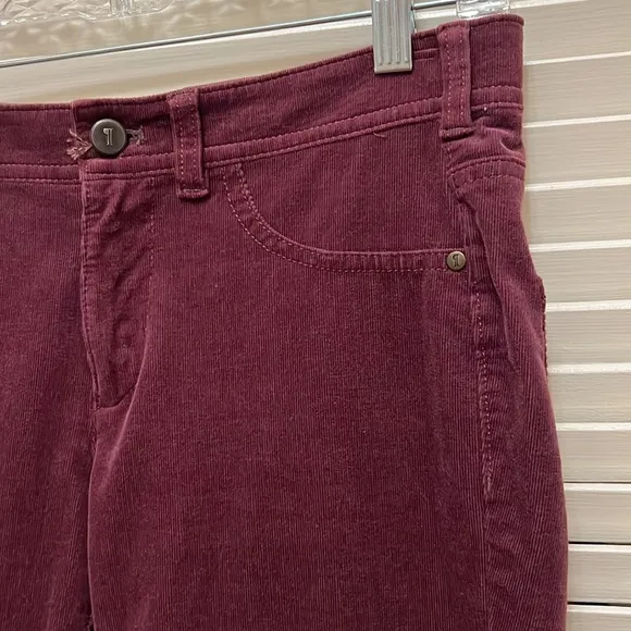 Anthropologie Pilcro and the Letterpress Burgundy Skinny Jeans / Pants