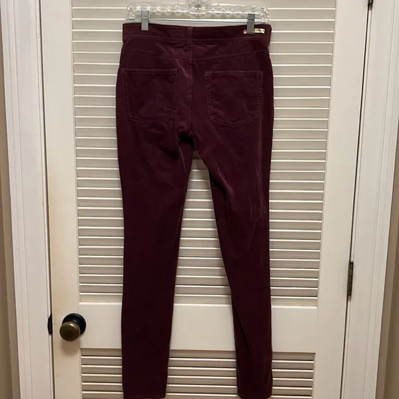 Anthropologie Pilcro and the Letterpress Burgundy Skinny Jeans / Pants