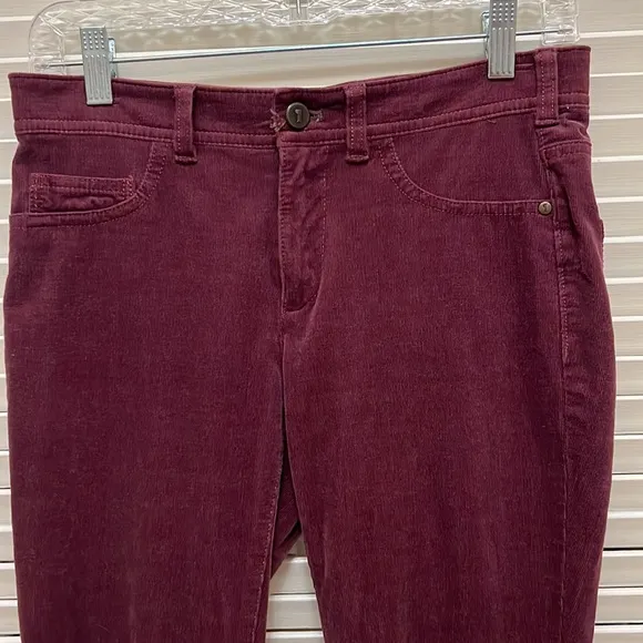 Anthropologie Pilcro and the Letterpress Burgundy Skinny Jeans / Pants