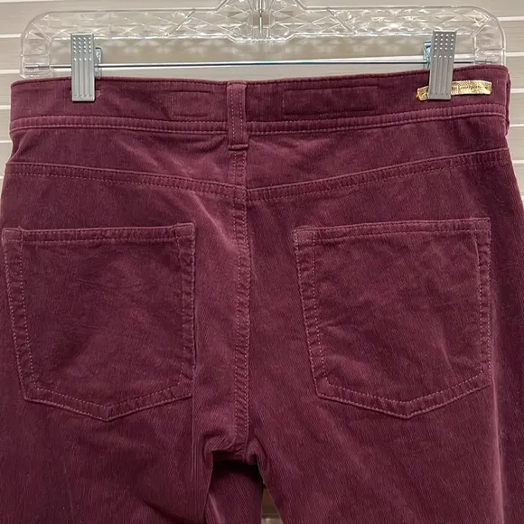 Anthropologie Pilcro and the Letterpress Burgundy Skinny Jeans / Pants