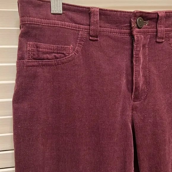 Anthropologie Pilcro and the Letterpress Burgundy Skinny Jeans / Pants
