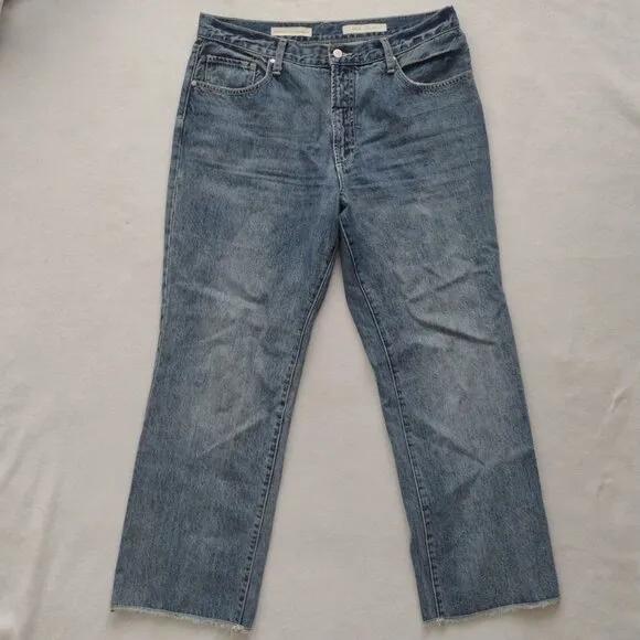 Anthropologie Pilcro Folio Jeans 32 Wide Leg High Rise Rigid Medium Wash Denim