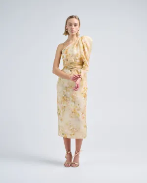 crush asymmetrical midi dress