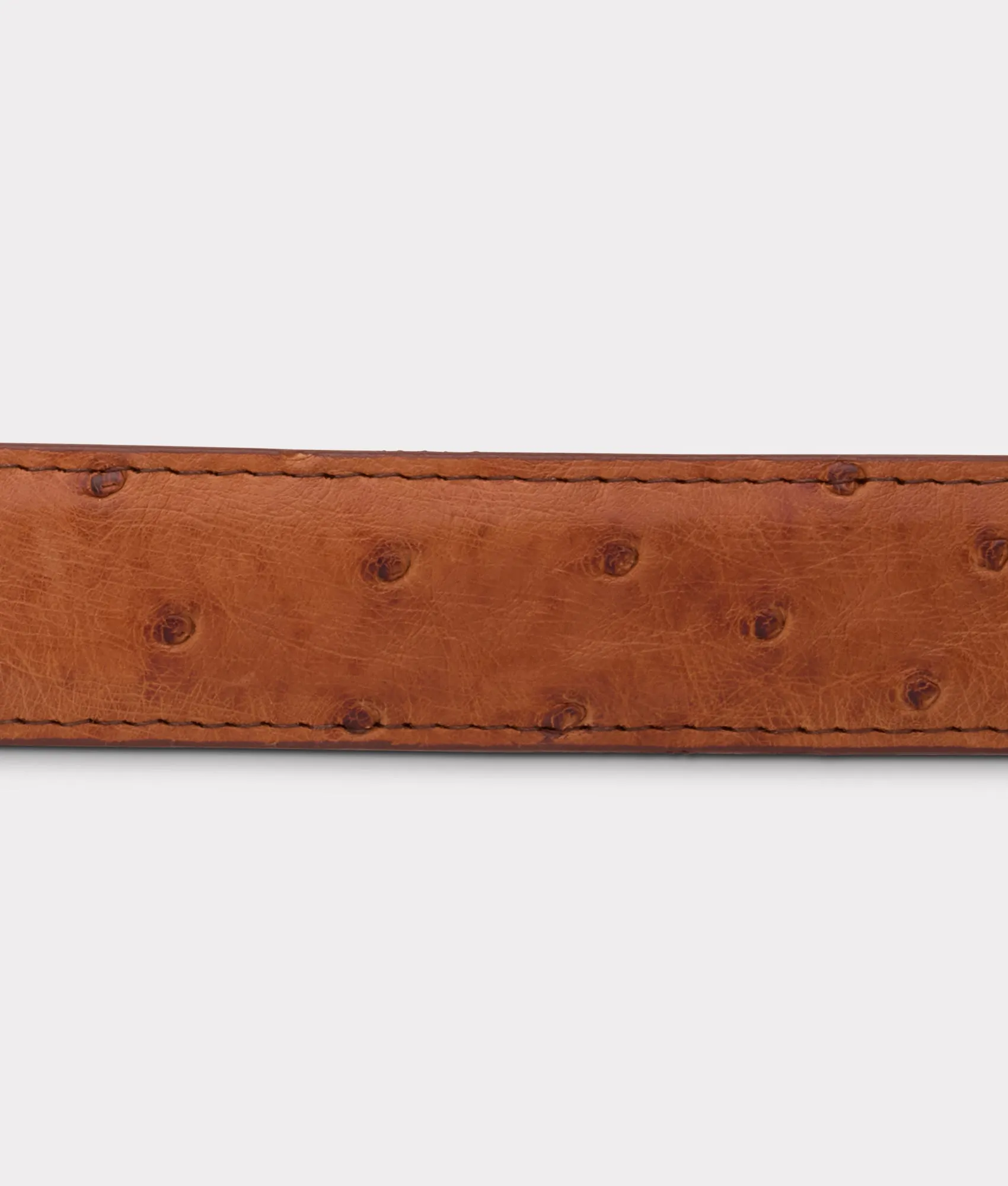 Full Quill Ostrich Tapered :: Barnwood