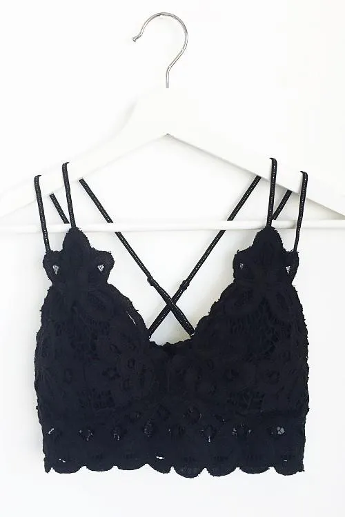 Lace Scalloped Bralette (asst colors)