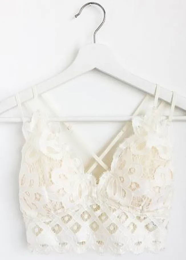 Lace Scalloped Bralette (asst colors)