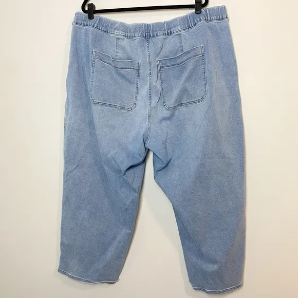 Madewell Plus Pull-On Relaxed Jeans in Bellview Wash