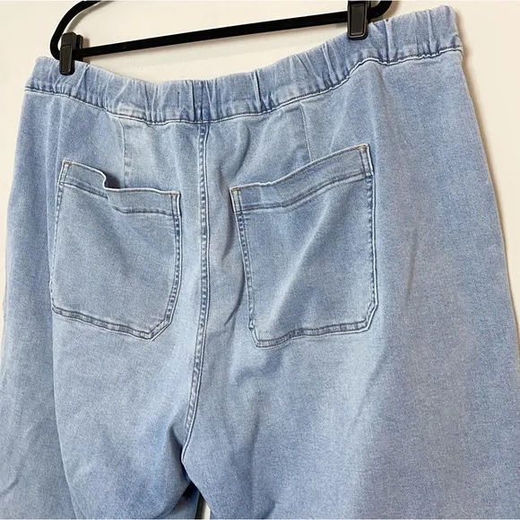 Madewell Plus Pull-On Relaxed Jeans in Bellview Wash