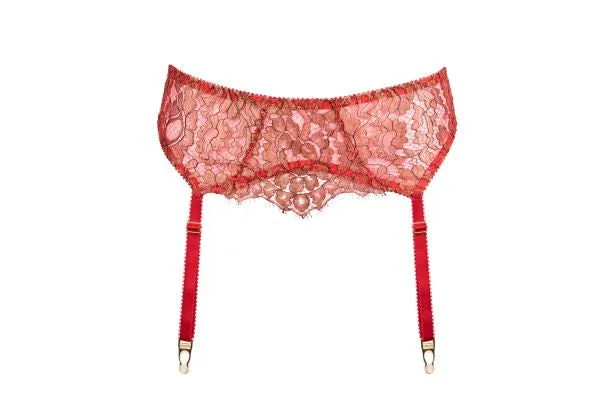 Pure Chemistry Bridal Rani Suspender Belt - PRE ORDER –