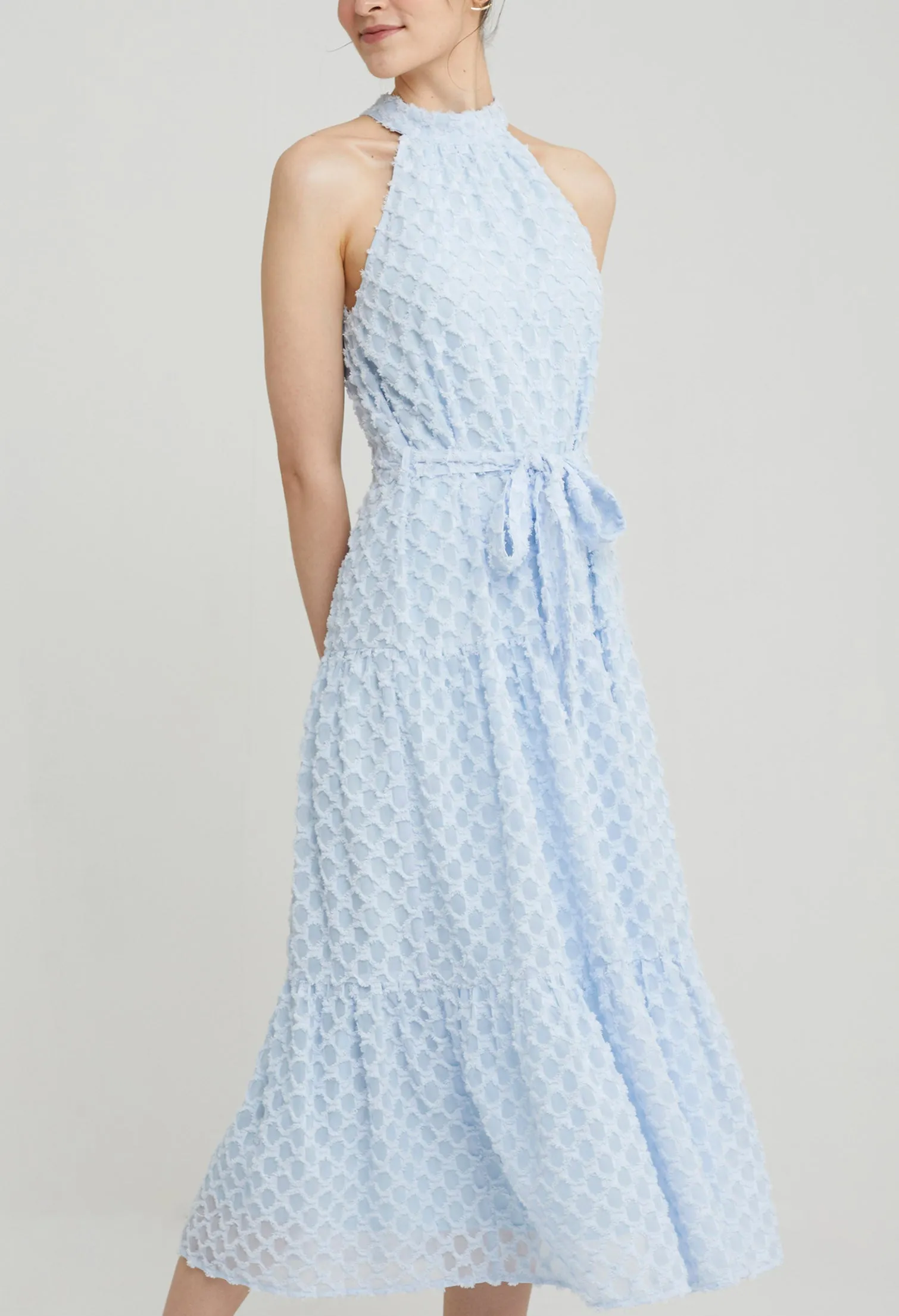 Quinn Organza Midi Dress
