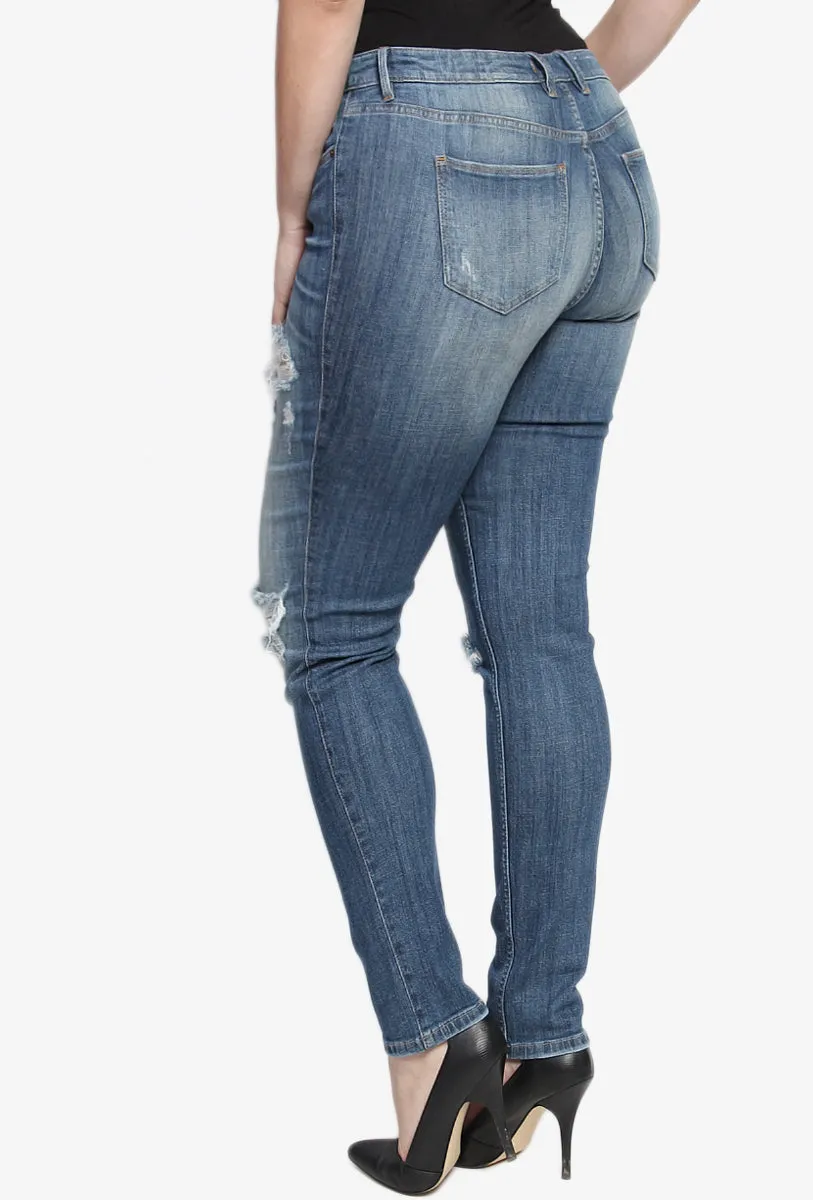 Sophie Distressed Skinny Jeans PLUS