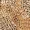 Stone Snake Printed Midi Dress