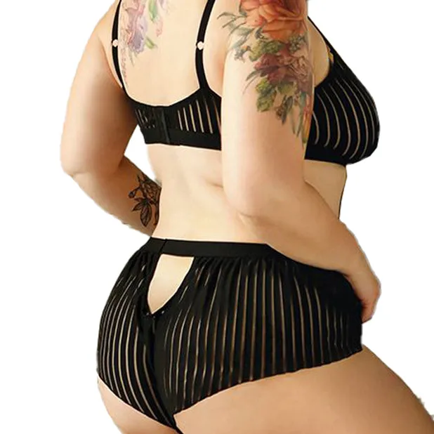 Vixen Striped Mesh Bralette & Shorties
